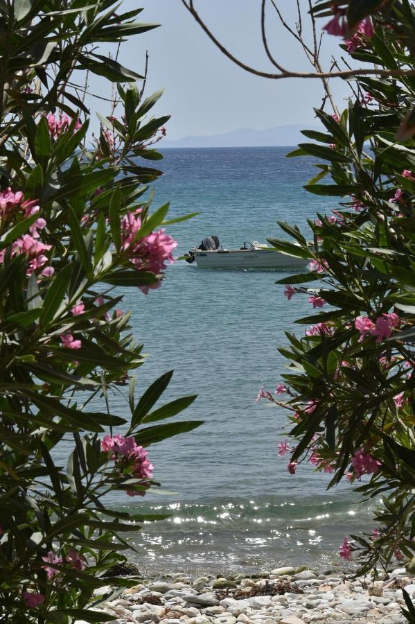 Seaside In Kardiani/giannaki Bay - Agnes's Holiday home *